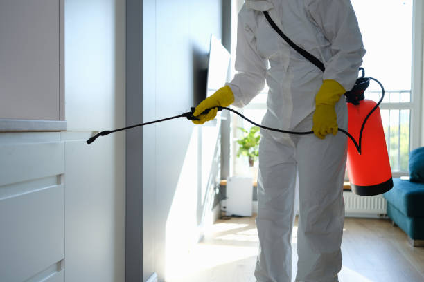 Best Toxic Mold Removal  in Brinkley, AR