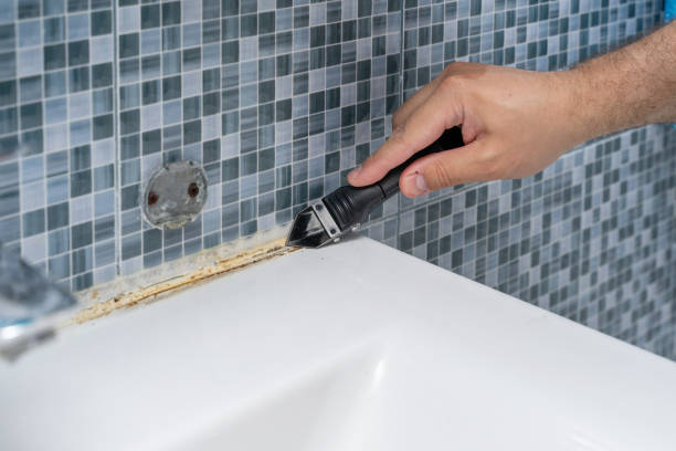 Best Mold Remediation Experts  in Brinkley, AR