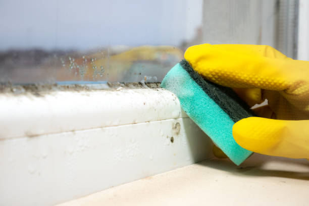 Best Crawl Space Mold Removal  in Brinkley, AR